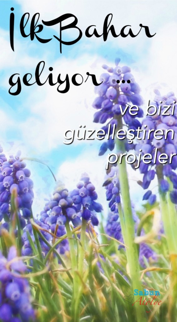 ilk bahar projeler