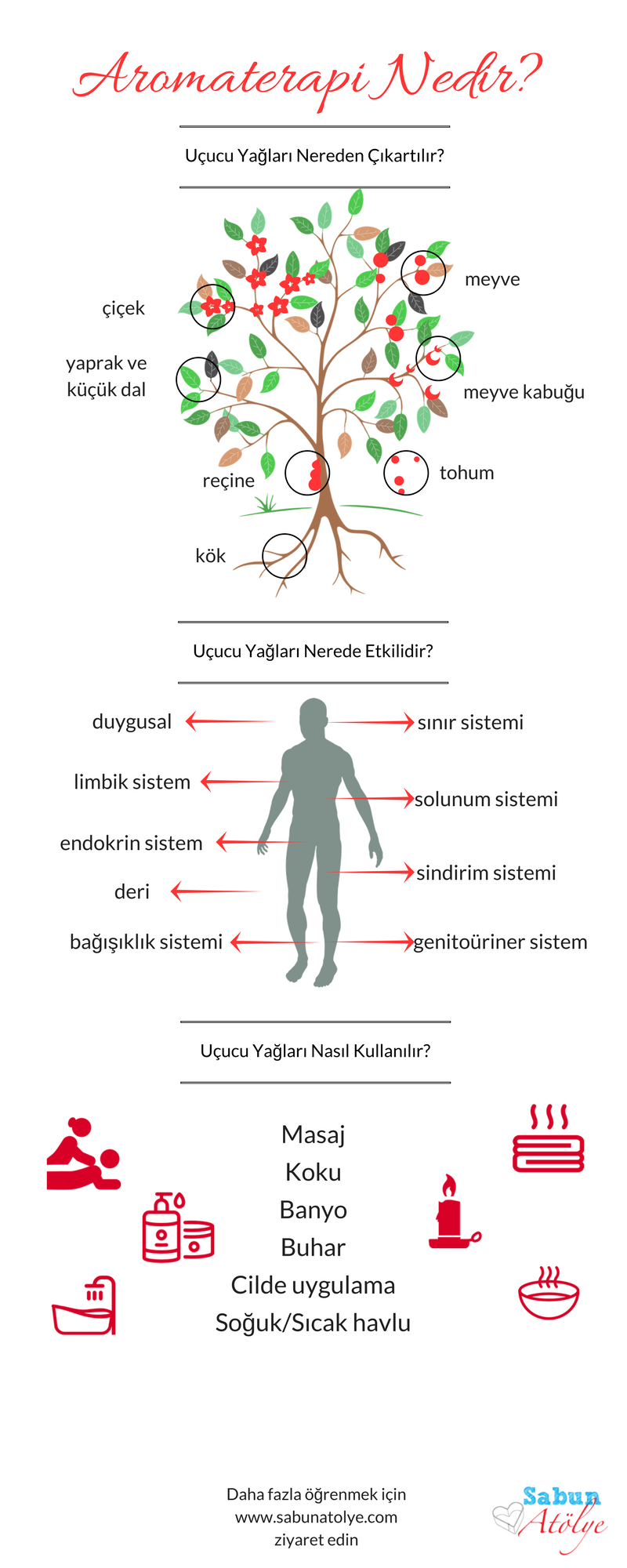 Aromaterapi Nedir?