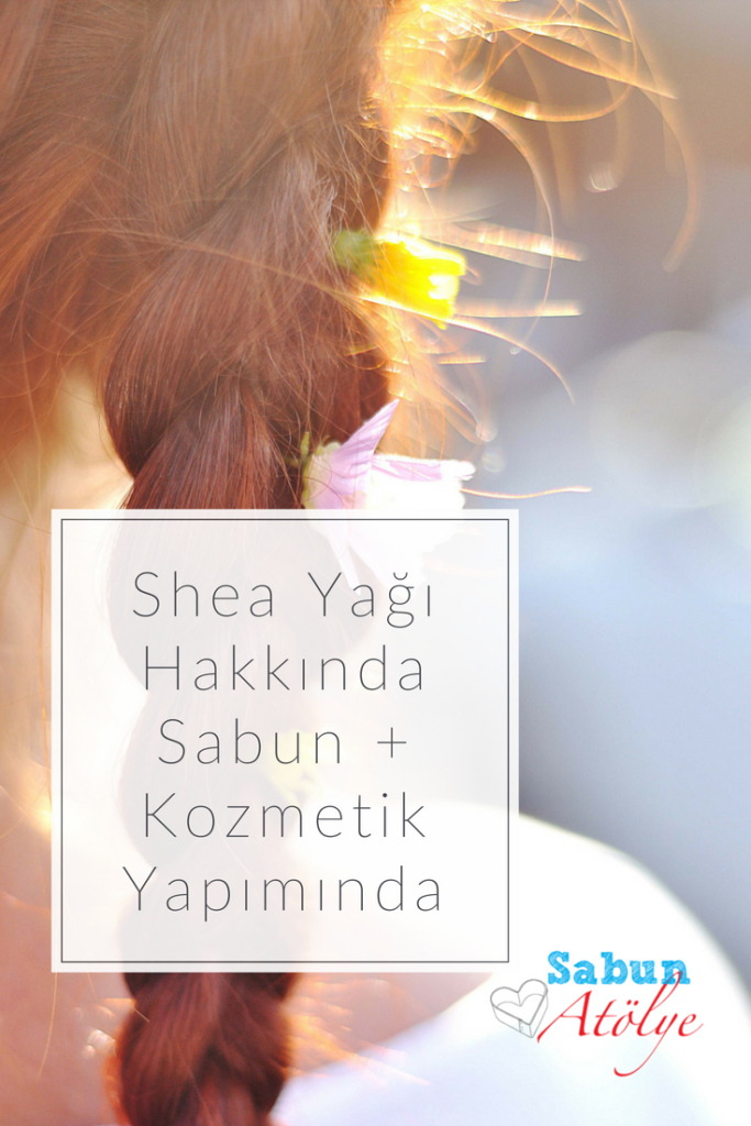 Shea Yağı Hakkında Sabun + Kozmetik Yapımında