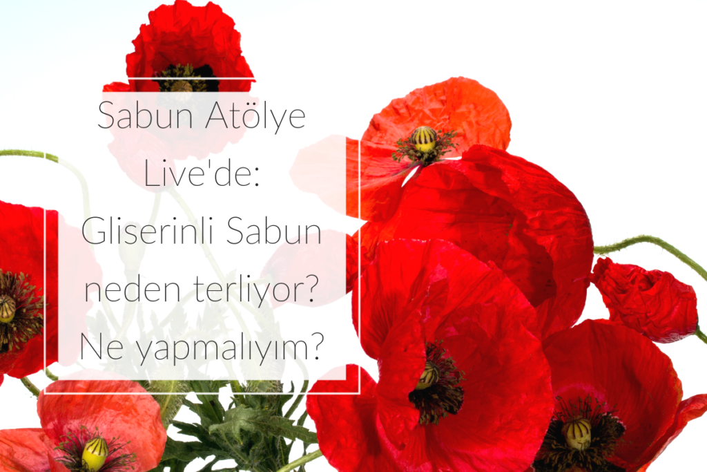 Gliserin Sabun Neden Terliyor? (SA Live)