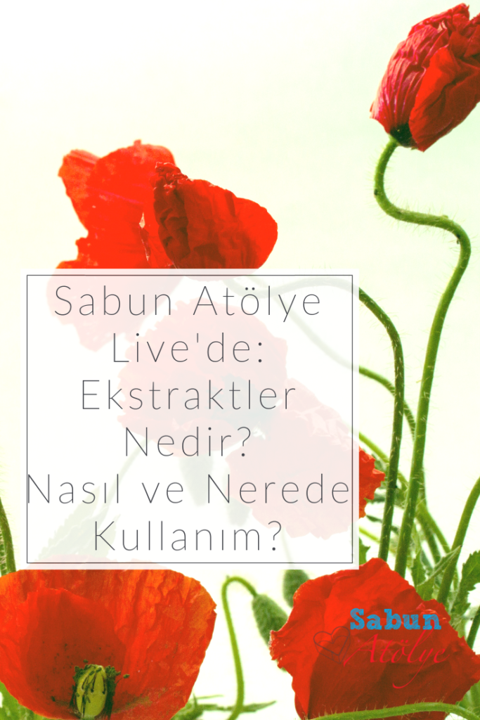Ekstraktlar nedir? Nasıl ve Nerede Kullanım?
