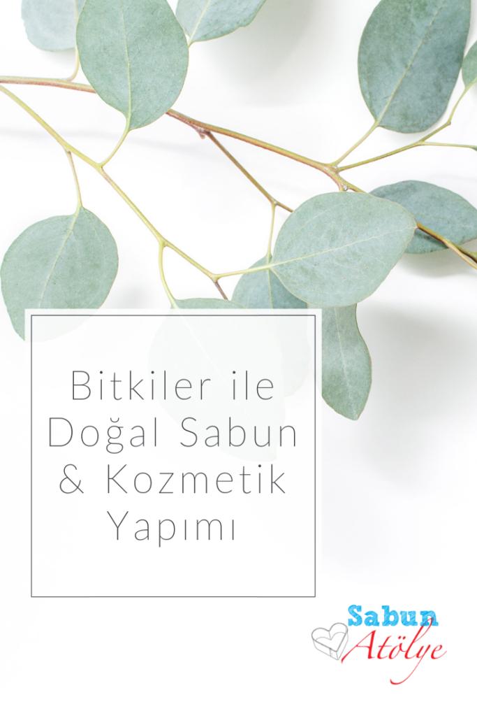 Bitkiler ile Doğal Sabun & Kozmetik Yapımı