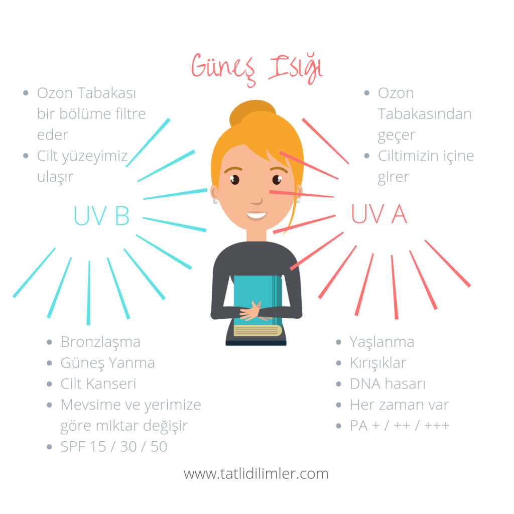 Güneş Işığı UVA & UVB