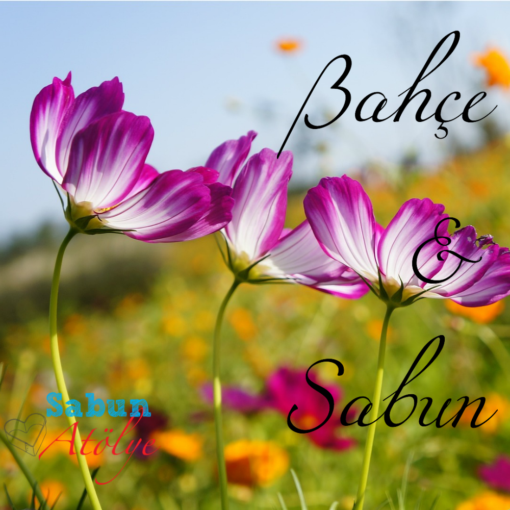Bahçe & Sabun