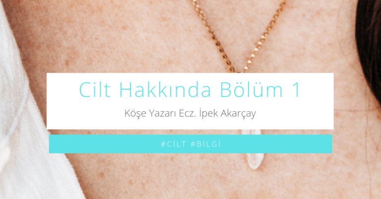 Köşe Yazı: Cilt Hakkında