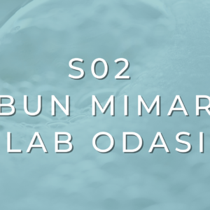 S02 Sabun Mimarisi: Yağ Seçimi ve Dengeli Formül Tasarımı
